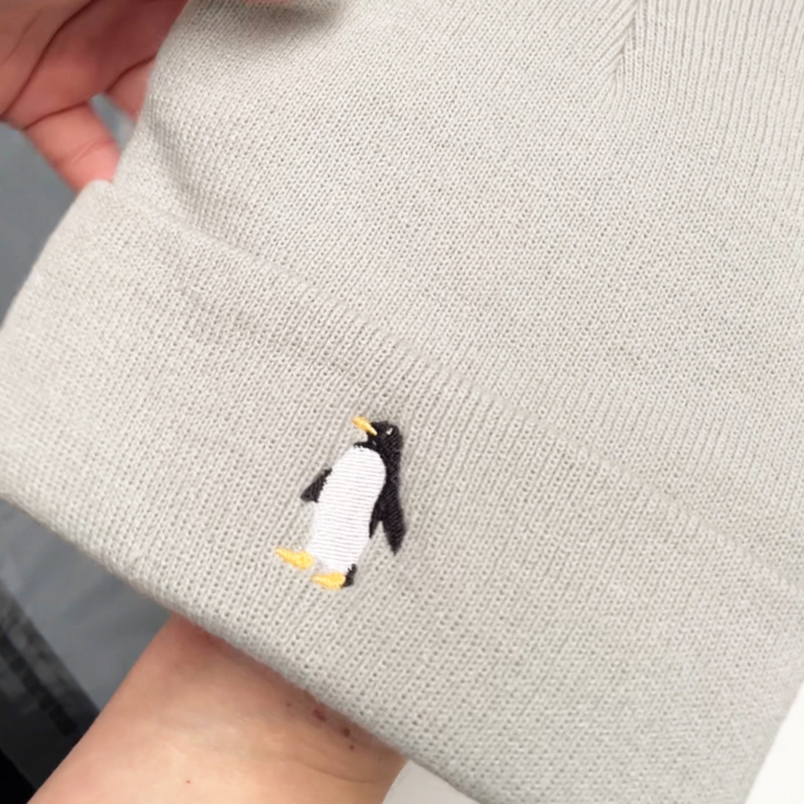 grey penguin